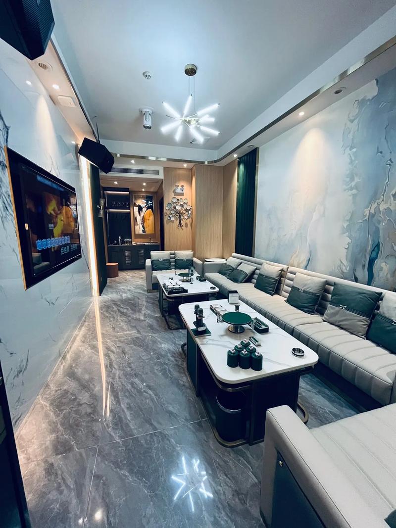 株洲商务ktv体验商旅娱乐新选择-天元区ktv预定